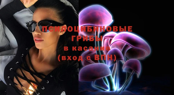 молекула духа Алзамай
