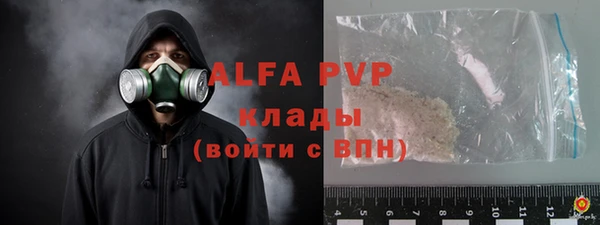 амф Алексин