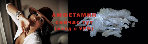 молекула духа Алзамай