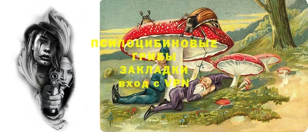 молекула духа Алзамай