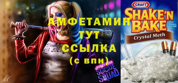 молекула духа Алзамай