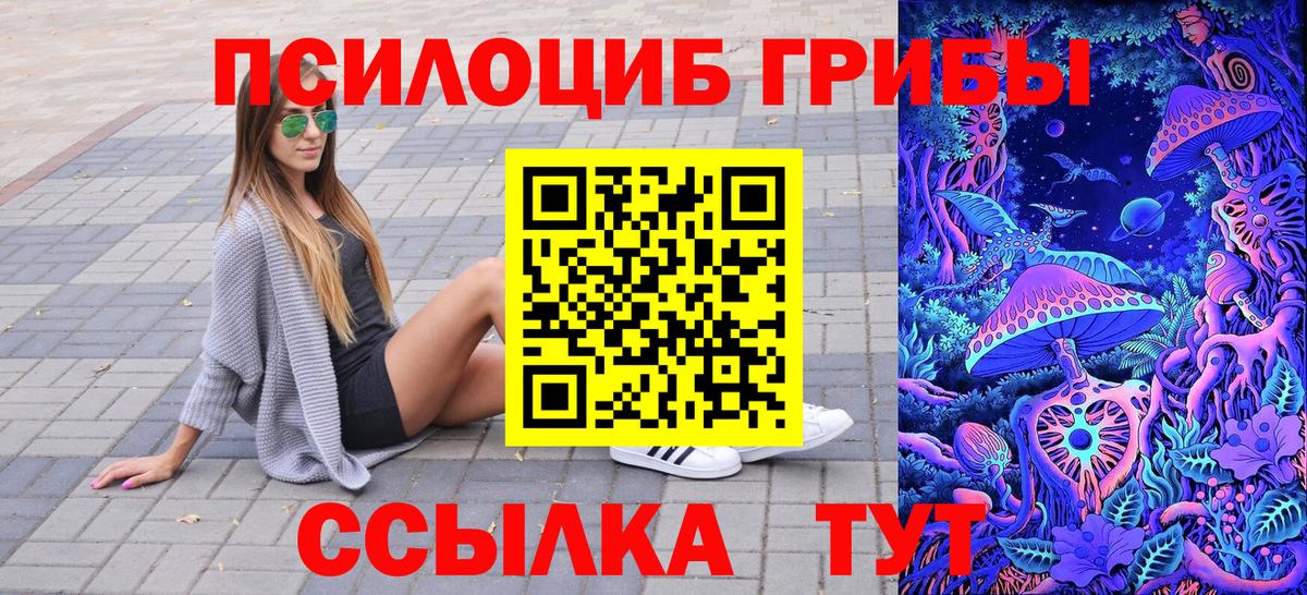 Псилоцибиновые грибы Psilocybine cubensis Крымск