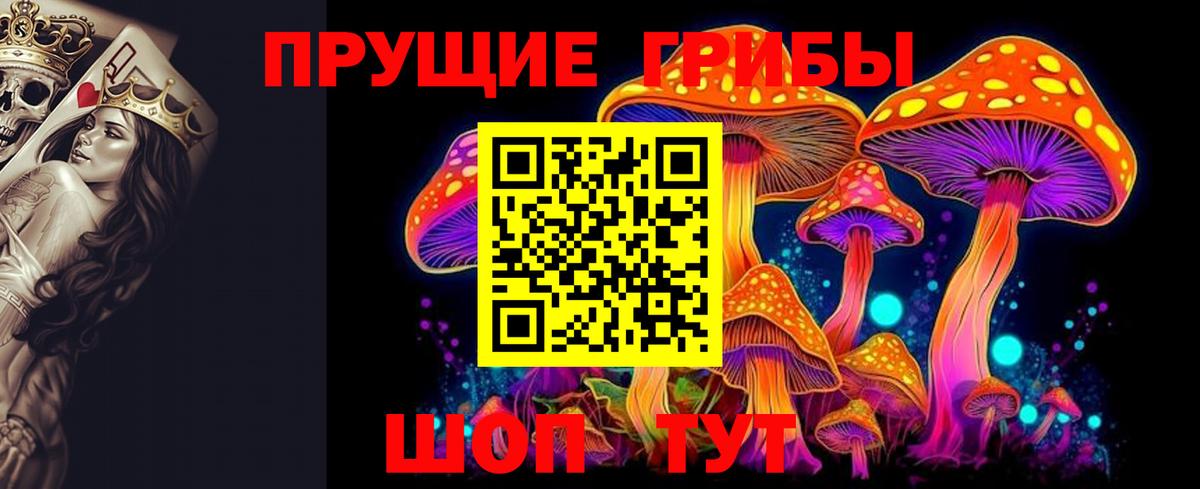 Крымск  Галлюциногенные грибы Magic Shrooms  Вход с VPN  Псилоцибиновые грибы Cubensis 